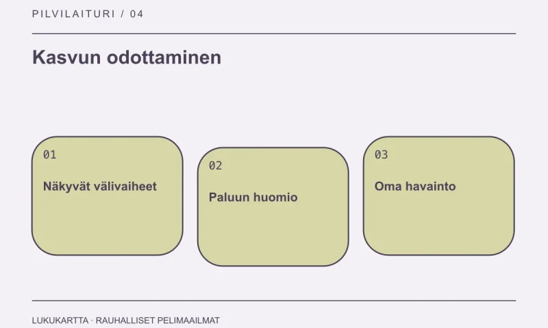 Lukukartta: Kasvun odottaminen. Näkyvät välivaiheet, Paluun huomio, Oma havainto.